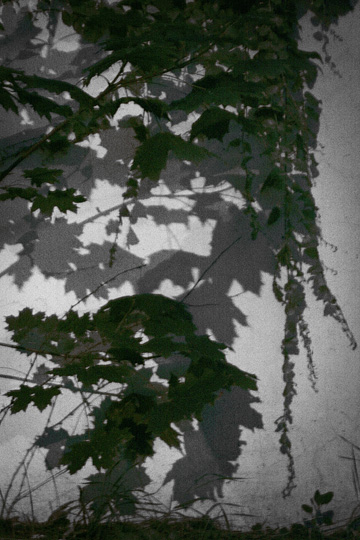 Evening Touch