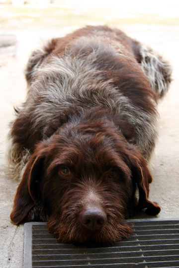Pleeease!