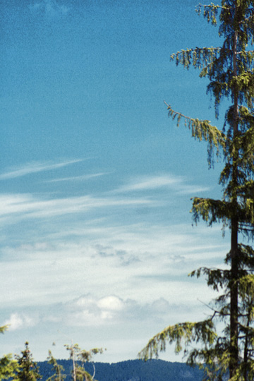 The Sky Is Blue