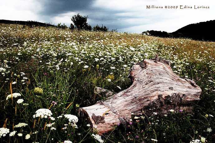 Millions